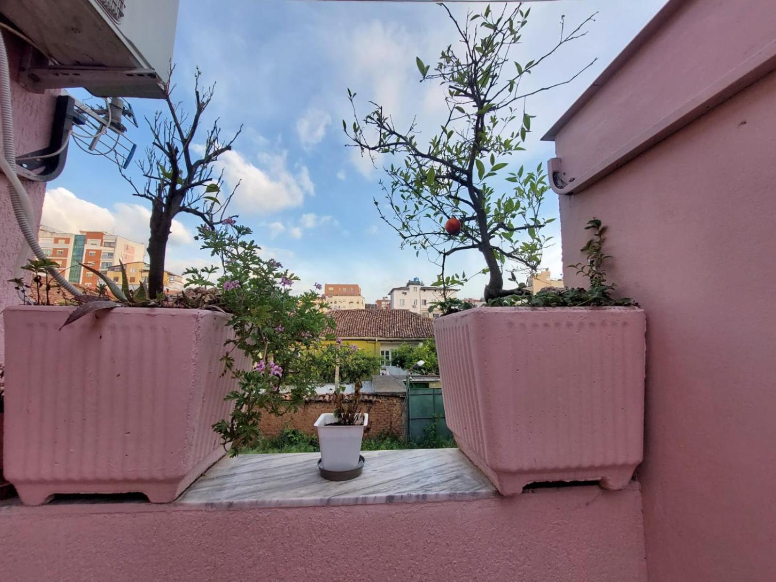 Gex Guest House Tirana Esterno foto